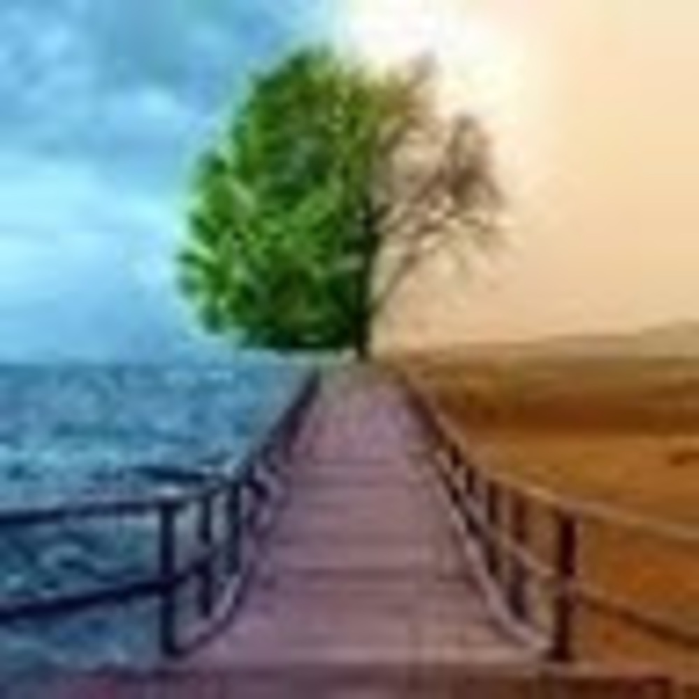 Meet your Posher, Sushi